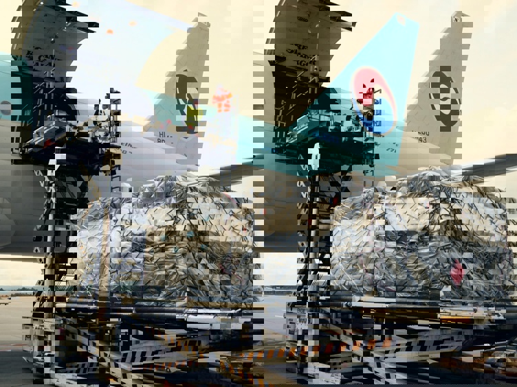 Lasteoperasjon av cargo på Korean Air Boeing 777F på en flyplass, med arbeidere og sikret frakt på en heis