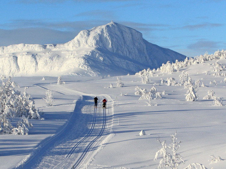 Langrenn på Beitostølen. Foto: Aud Eva Bergo
