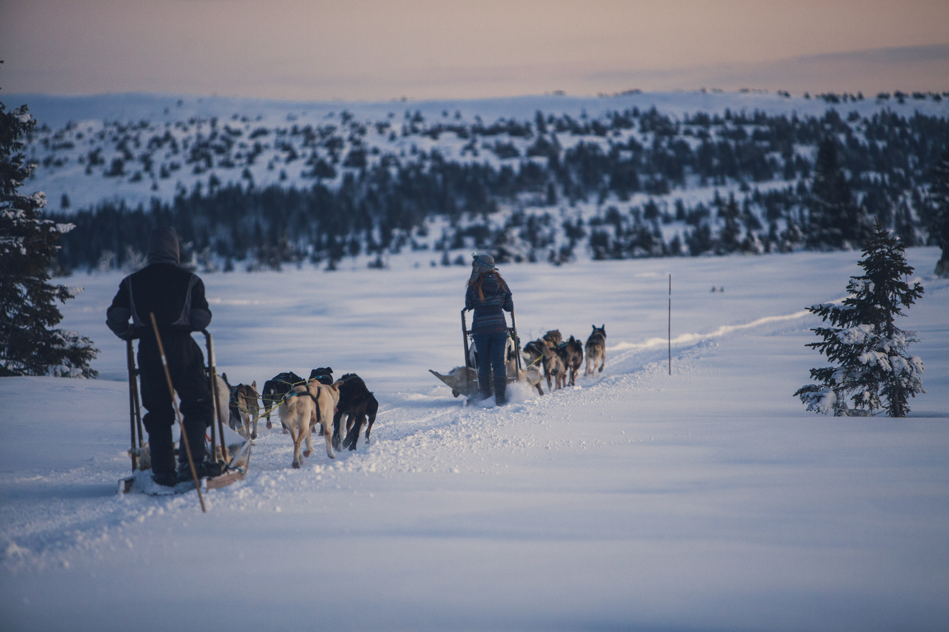  foto: Bård Gundersen